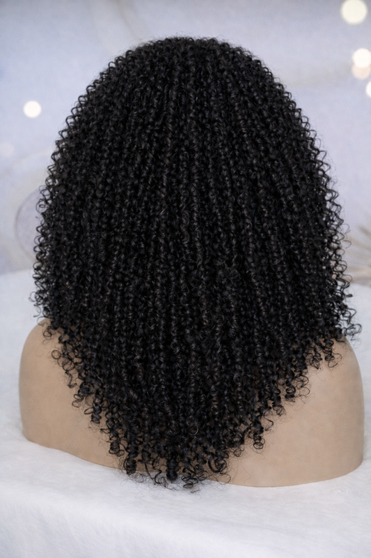 Kinky Curly Wig | Affordable Luxury Curly Wig